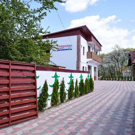 Pensiunea Cristina Vişeu de Sus Extérieur photo