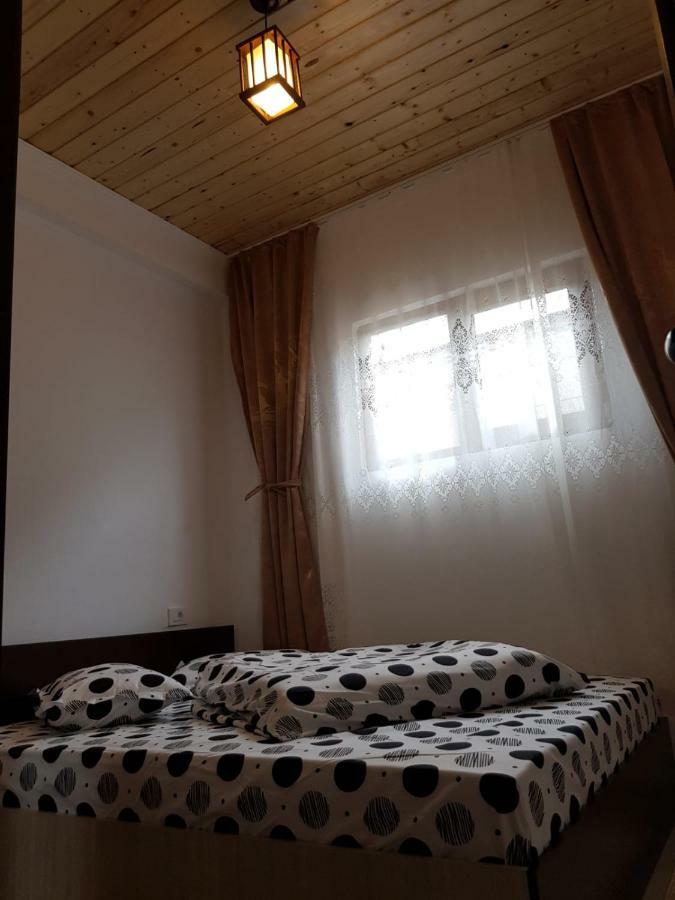 Pensiunea Cristina Vişeu de Sus Extérieur photo