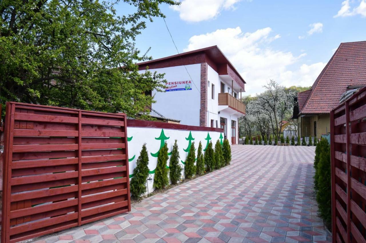 Pensiunea Cristina Vişeu de Sus Extérieur photo
