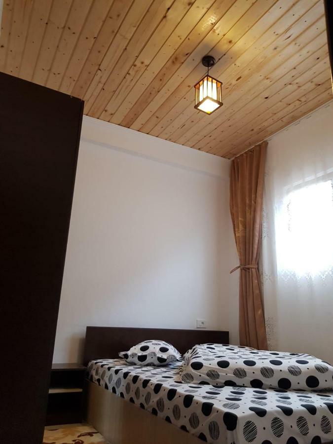 Pensiunea Cristina Vişeu de Sus Extérieur photo